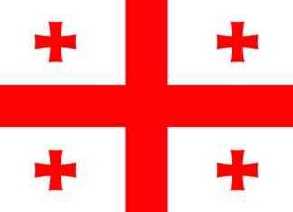 Georgia Election: EU vs. Russia Influence – WSVN 7News | Miami News news-26102024-190644