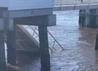 Investigation of Georgia’s Deadly Dock Collapse by Engineering Firm news-27102024-082244