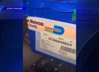 Unsecured Ballot Box Found Near Miami-Dade Government Building; Elections Worker Fired – WSVN 7News news-29102024-191641