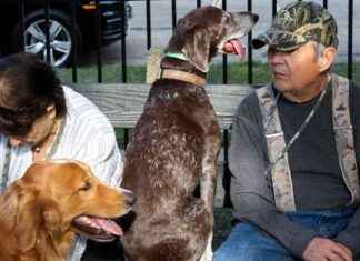 Unleashing the Best of Chicago: A Guide for Readers news-30102024-093323