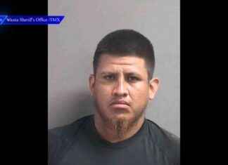 Woman’s Life Saved by Pizza Order: 911 Call Helps Deputies – WSVN 7News news-30102024-102811