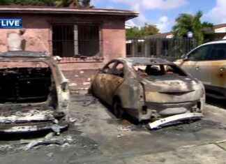 Police Investigating Arson of 3 Cars in Miami – WSVN 7News Miami news-30102024-205755