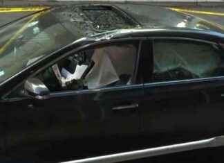 Ride-Share Driver Escapes Injury as Bricks Fall in Manhattan – WSVN 7News – Miami News news-30102024-225926