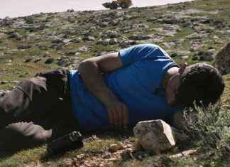 Exploring the Film Experience in Chicago: The Moviegoer’s Perspective news-31102024-130800