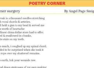 Summer Surgery: A Poetic Exploration by Angel Page Smigielski news-01112024-133845