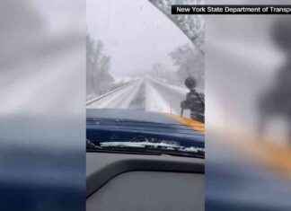 Great Lakes Region on Alert for Lake-Effect Snow: Near-Whiteout Conditions – WSVN 7News news-01122024-015827