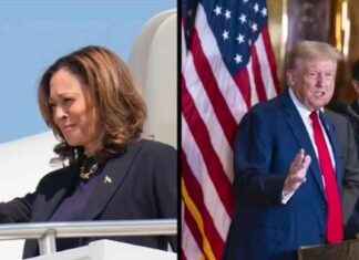 Final Weekend Push: Harris and Trump Target Sunbelt States | WSVN 7News news-03112024-044651