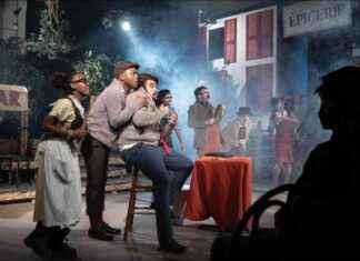 Chicago Reader: Understanding the Impact of a Rampaging Rhinoceros news-03112024-085624