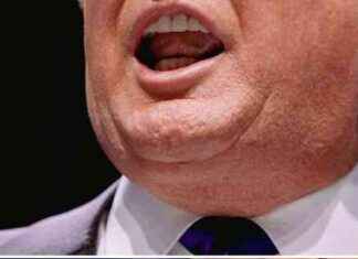 Exploring the Impact of Trump’s Policies on Chicago – Chicago Reader news-03112024-150018