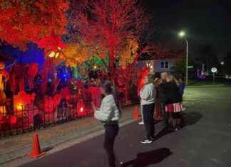 Uncovering the Domestic Violence Crisis in Chicago – Chicago Reader news-03112024-170304