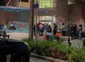 Long Lines and Wait Times at Broward and Miami-Dade Early Voting Sites – WSVN 7News | Miami-Fort Lauderdale SEO news-04112024-085239