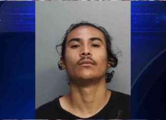 FHP Troopers Pursue Man Accused of Crimes in Multiple Cities, Arrest in Cutler Bay – WSVN 7News news-05112024-105349