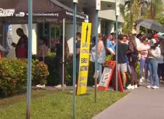 Voters Brave Rain to Cast Ballots in Miami-Dade and Broward Counties – WSVN 7News news-05112024-230128