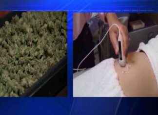 Florida Voters Reject Measures to Protect Abortion Rights and Legalize Recreational Marijuana – WSVN 7News | Miami News, Weather, Sports | Fort Lauderdale news-06112024-121131