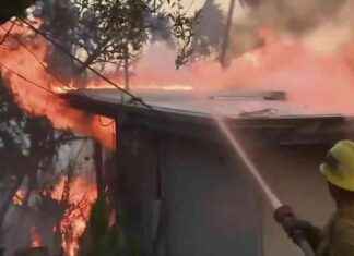 California Wildfire Updates: Firefighters May Catch a Break as Winds Diminish | WSVN 7News news-08112024-005131