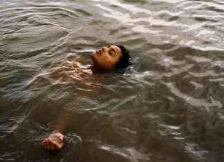 Exploring the Bird Restaurant in Chicago: A Detailed Review news-09112024-210451