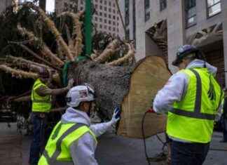 Rockefeller Center Christmas Tree Arrives in NYC – Festive Holiday Tradition news-10112024-070024
