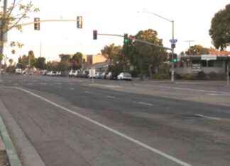 Fatal Car Crash in Bay Park: Man Killed in Collision with Parked Truck news-11112024-051347