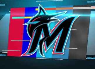 New Title: Marlins Hire Clayton McCullough as Manager – Latest News from WSVN 7News news-11112024-072248