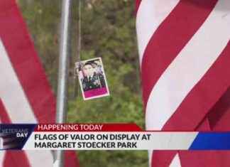 Honoring Military Members: St. Louis Veterans Day Events news-11112024-161512