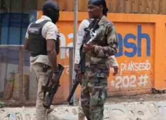 Haiti’s Main Airport Closes Due to Surge in Gang Violence: US Embassy Warns | WSVN 7News news-11112024-232501