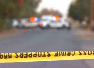 Fatal Hit-and-Run Accident in Opa-locka: Pedestrian Fatally Struck – WSVN 7News news-15112024-180850