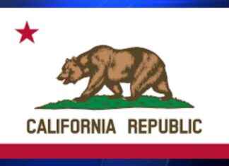 Support for Black and Latino Families Displaced in Palm Springs – WSVN 7News | Miami News news-16112024-120234