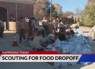 Annual ‘Scouting for Food’ Drive: Scouts Collect Food Donations news-16112024-165825