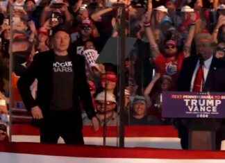 New Title: Trump Names Wright as Energy Secretary, Musk Calls for Public Input on Treasury Pick news-17112024-011317