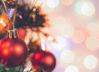 Best Tree Lighting Events in San Diego County news-18112024-081733