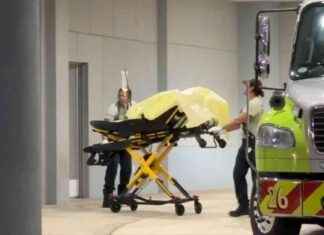 Woman Hospitalized After Dog Attack in NW Miami-Dade – WSVN 7News Miami news-19112024-025828