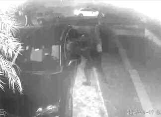 Surveillance Video Shows Suspects Breaking into Cars in Miami; 12 Cars Vandalized news-19112024-201546