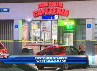 Man critical after stabbing at Cuban cafeteria in West Miami-Dade | WSVN 7News news-20112024-123327