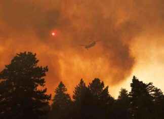 Will More Homes in San Diego be Retrofitted with Fire-Resistant Features? news-21112024-003204