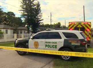 Shed Fire Near Hialeah Home Extinguished with No Injuries – WSVN 7News news-21112024-170707