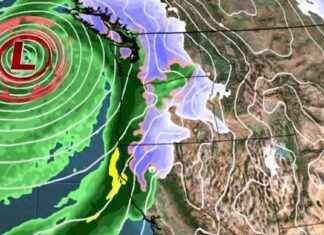 Record Rain and Tree Damage in Northern California Storm – WSVN 7News news-22112024-001632