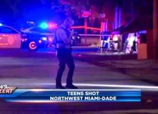 Shooting in Liberty City Leaves 3 Stable – WSVN 7News Miami news-22112024-064016