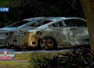 Power Line Snap Causes Fire, Leaves 1,400 Without Power in Fort Lauderdale news-22112024-160527