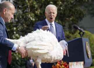 Biden Pardons Thanksgiving Turkeys: A Presidential Tradition news-25112024-193219