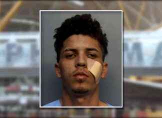 Arrest of Fugitive with Venezuelan Gang Ties at Dolphin Mall – WSVN 7News Miami news-26112024-020625