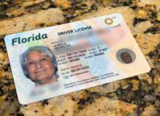 Correcting the Birthday Mix-Up – WSVN 7News | Miami News, Weather, Sports | Fort Lauderdale news-26112024-081018