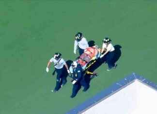 Construction Worker Injured in Fall from Ladder in Bal Harbour, Miami – WSVN 7News news-26112024-201752