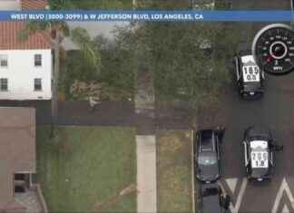 Police Pursuit Suspect Shootout: Multiple Detainees Arrested news-27112024-011211