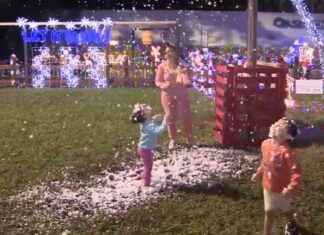 Oasis Church Trees of Hope: Gifting Christmas Trees to Families – WSVN 7News | Miami news-27112024-073539