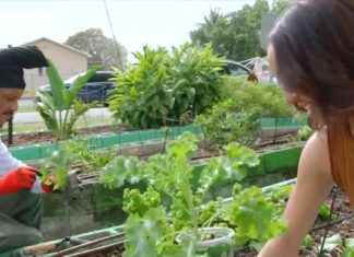 Mastering Mindful Eating with Asha Walker: Your Key to Health and Wellness news-27112024-103749