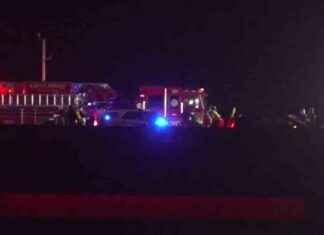 Woman Rescued After River Fall Following Central Florida Crash – WSVN 7News news-28112024-203444