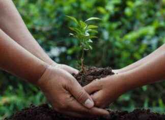 Celebrate Green Friday with Fun Outdoor Activities: A Guide news-29112024-084311