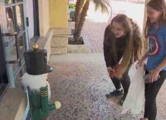 Return of Stolen Nutcracker with Apology Note: A Heartwarming Story of Redemption news-29112024-094355