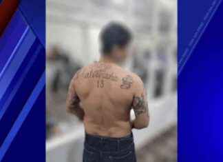 Arrest of MS-13 Gang Member at San Diego Border: What You Need to Know news-29112024-225029