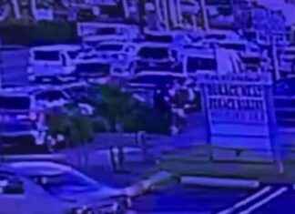 Identifying the Driver in North Miami Beach Hit-and-Run Incident – Latest News from WSVN 7News news-30112024-123900